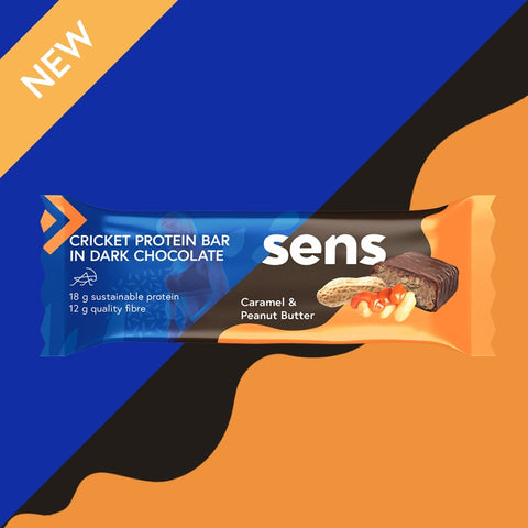 Mix of Cricket Protein Bar in Dark Chocolate