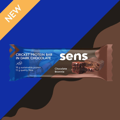 Mix of Cricket Protein Bar in Dark Chocolate