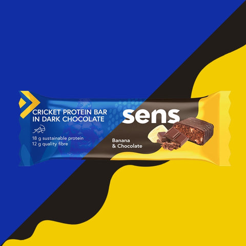 Mix of Cricket Protein Bar in Dark Chocolate