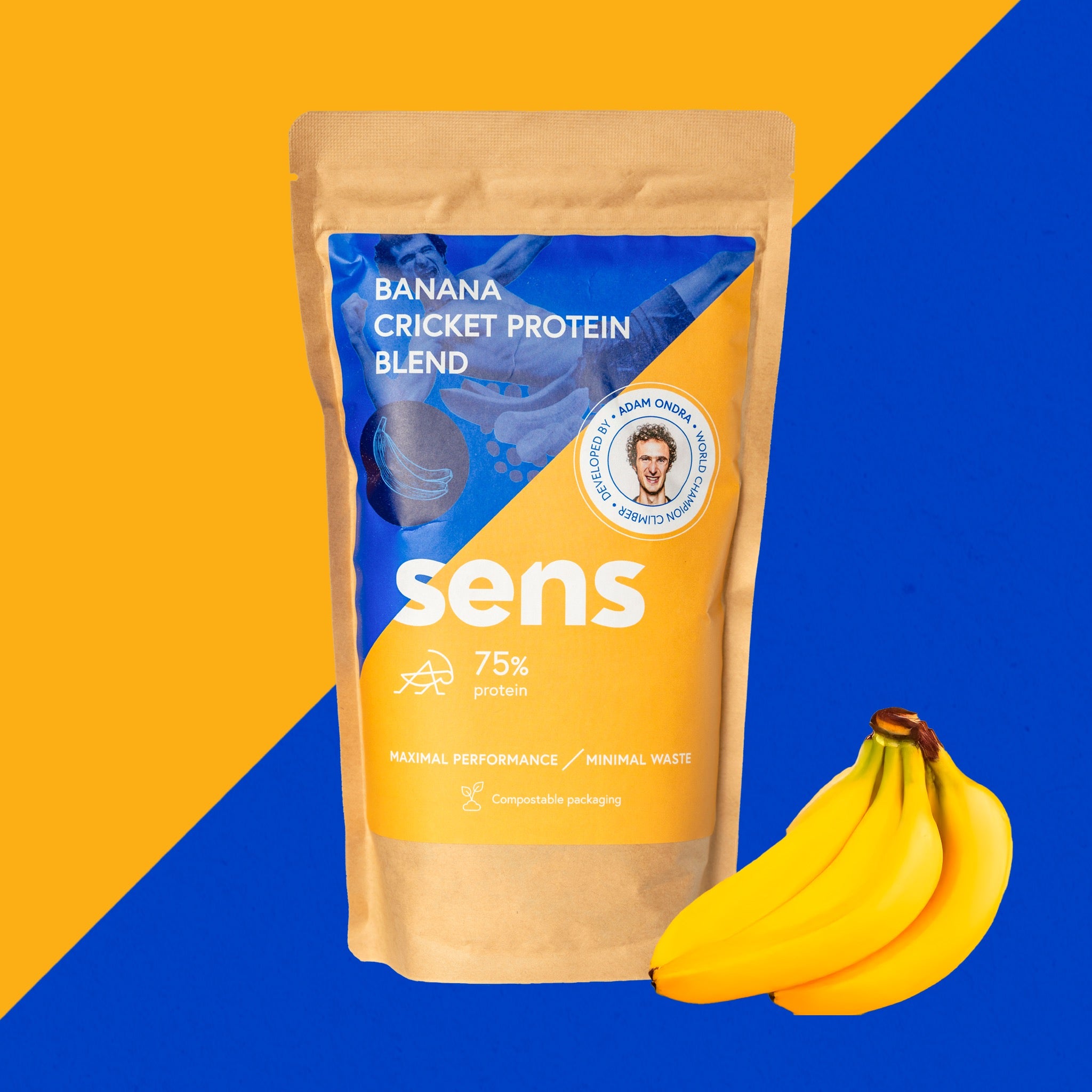 Stunning Benefits Of Using Banana Protein Powder For Senior Dogs image
