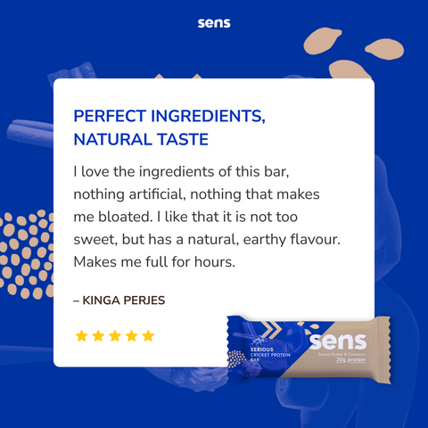 SERIOUS CRICKET PROTEIN BAR | Peanut Butter & Cinnamon SENS Bar (60g),Box (11+1 Free)