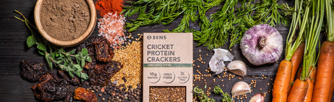 Our First Savoury Cricket Flour Product is Here