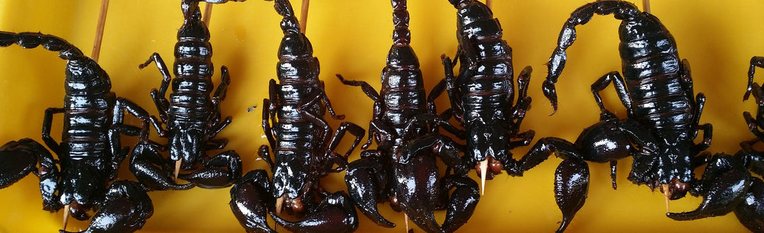 Insects, the best thing that happened to veganism? – EatSens.com