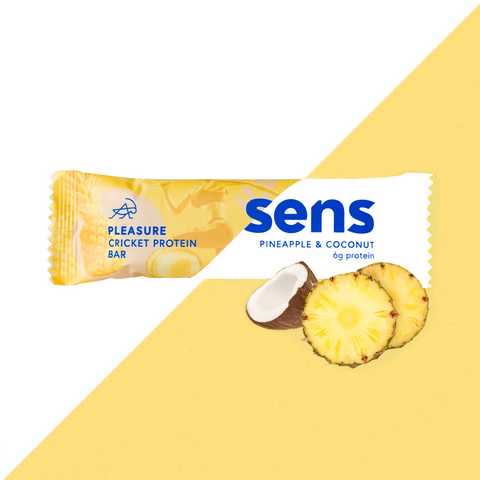 Pleasure Protein Bar Pineapple & Coconut