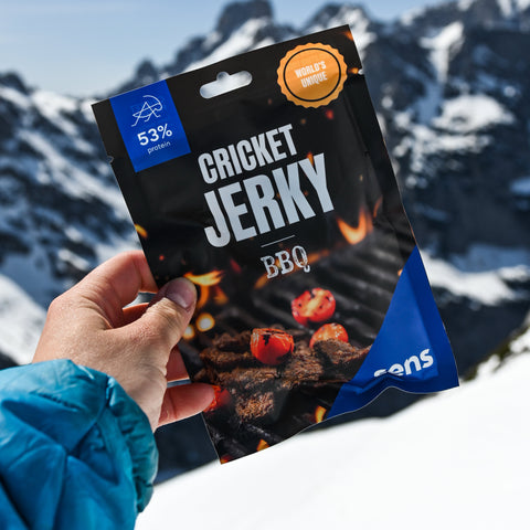 Cricket Jerky BBQ -  Unique Protein Snack