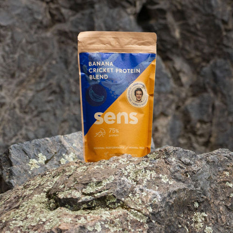 Banana Cricket Protein Blend x Adam Ondra