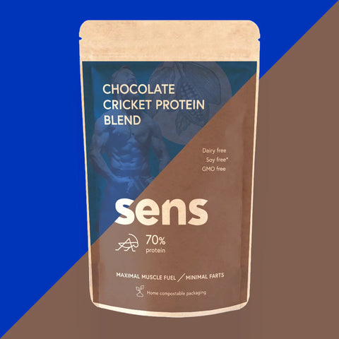 Chocolate Cricket Protein Blend