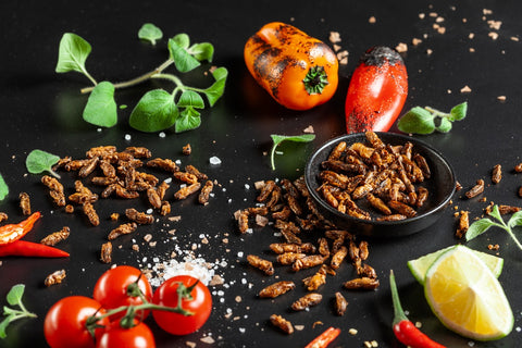 You don't have to stick to worms, try our main hit - crickets