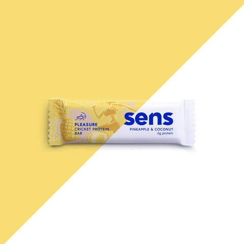 PLEASURE CRICKET PROTEIN BAR | Pineapple & Coconut SENS Bar (40g),Box (18+2 Free)