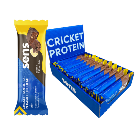 Cricket Protein Bar in Dark Chocolate
